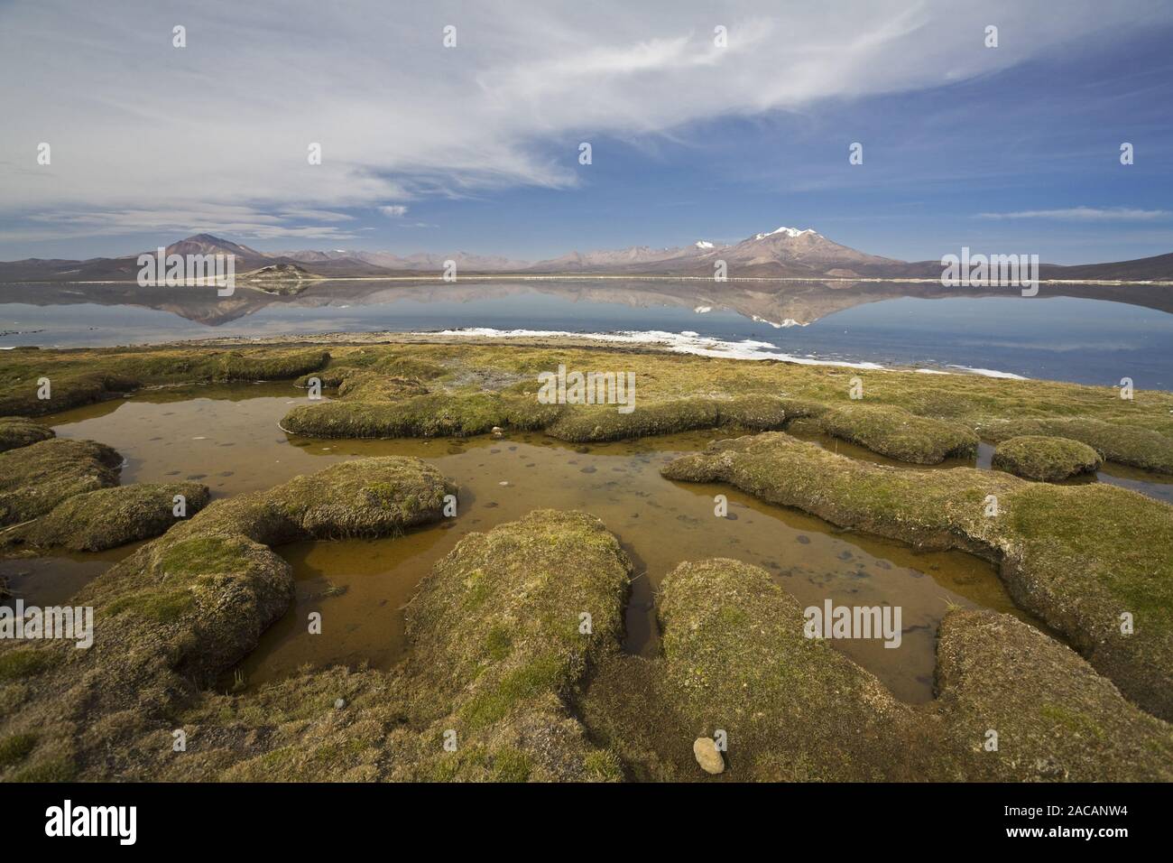 Im Berlandschaft NP Reserva Nacional Las Vicunas, Salzsees Salar de Surire, Cile, scenario di montagna al lago di sale Salar de Surire Foto Stock