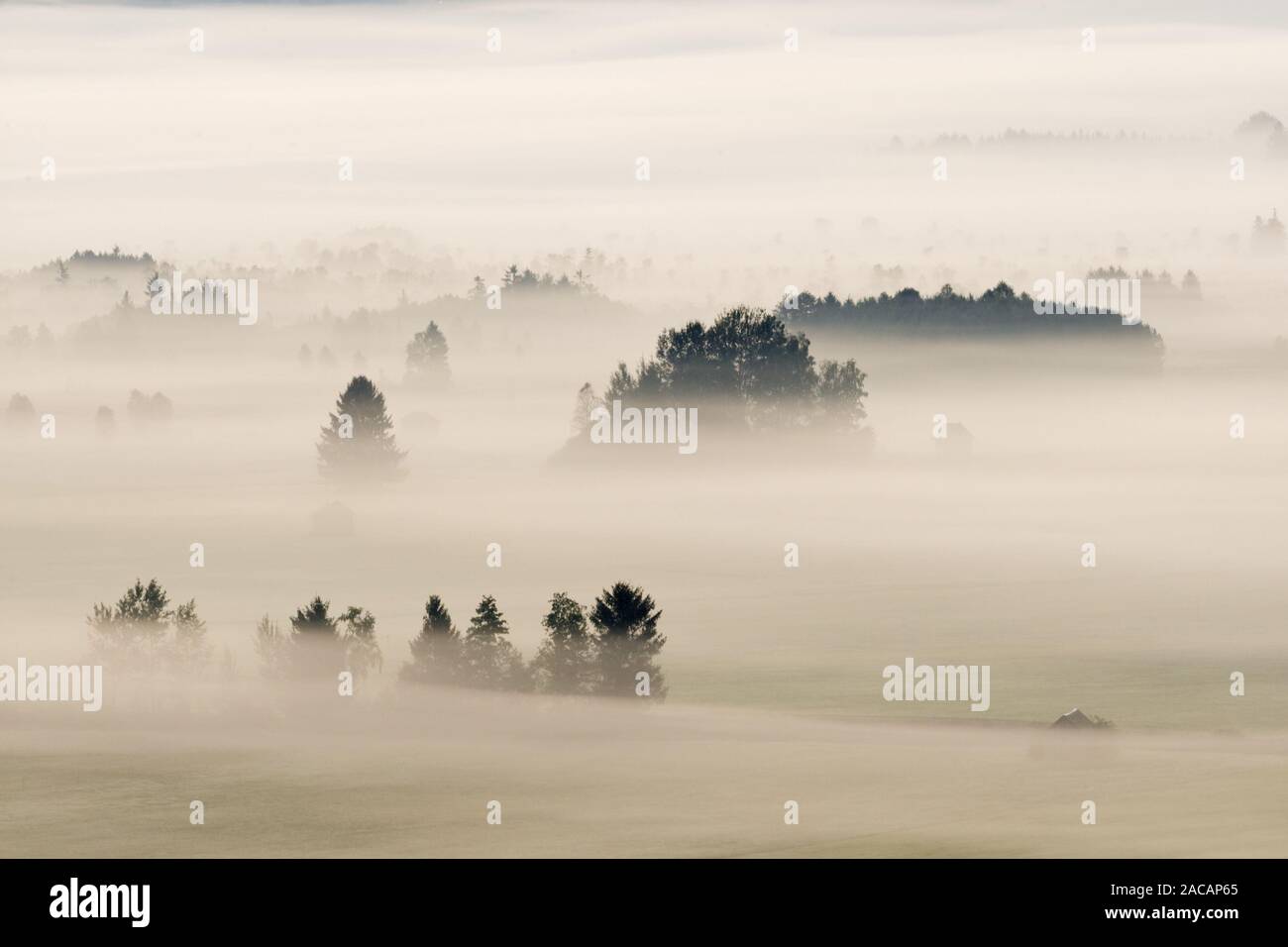 La nebbia paesaggio bavarese, pre-Alpi, Baviera, Germania Foto Stock