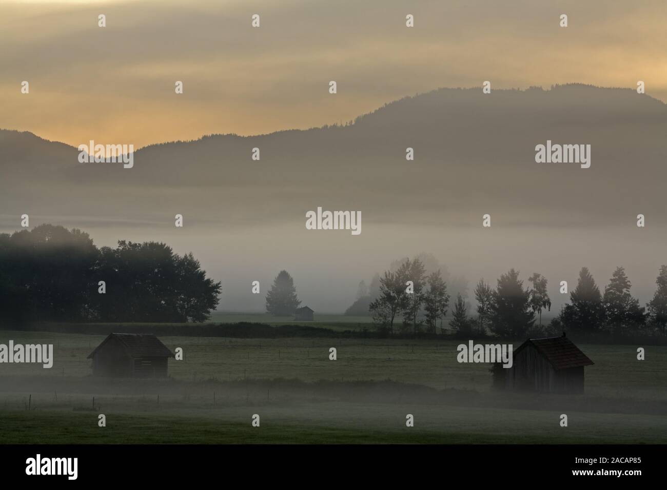 La nebbia paesaggio con capanne in Baviera pre- Alpi, Germania Foto Stock