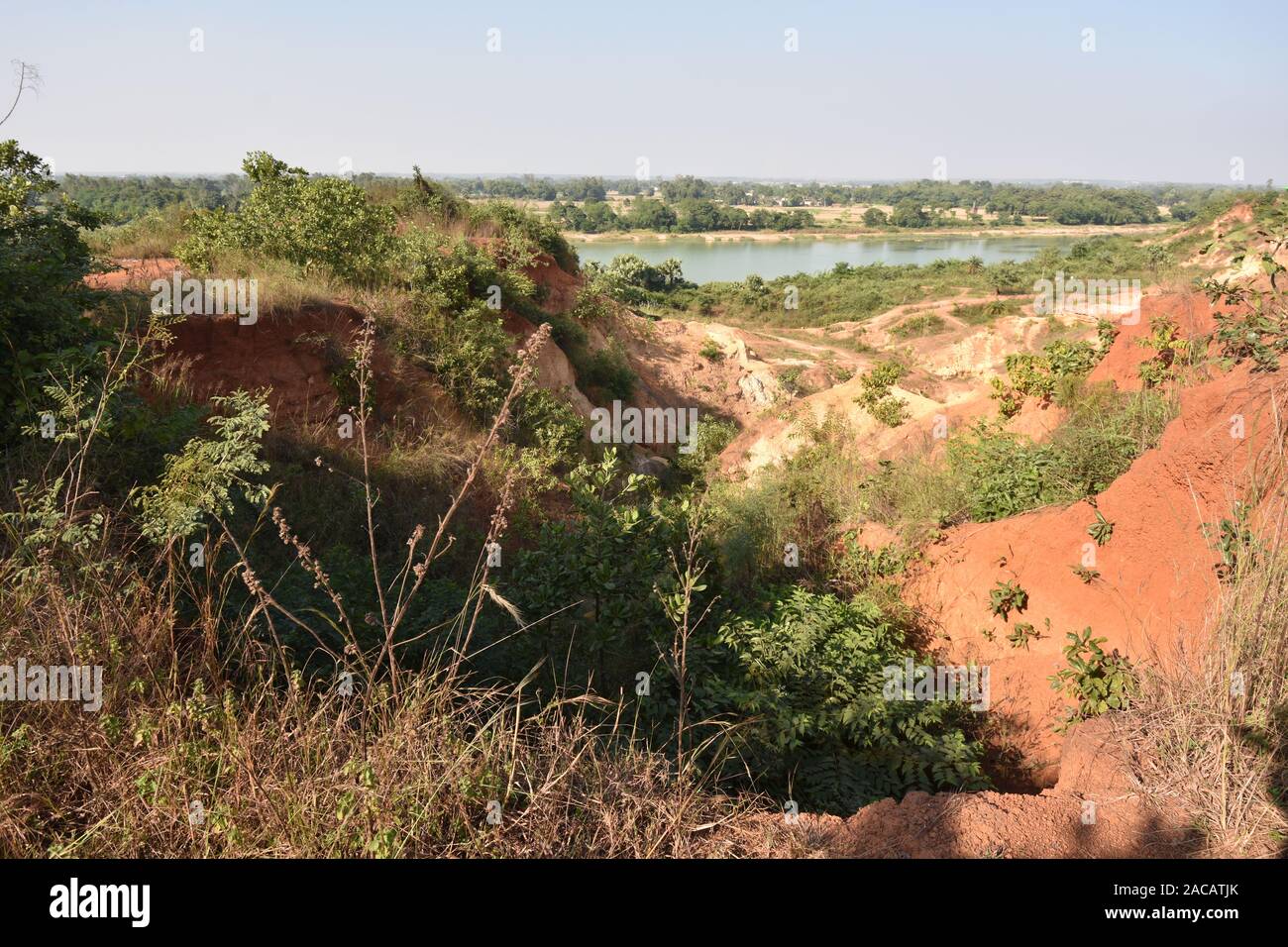 Anfratti Gangani presso la banca del fiume Shilabati o Shilai in Garbeta, West Bengal, India. Foto Stock