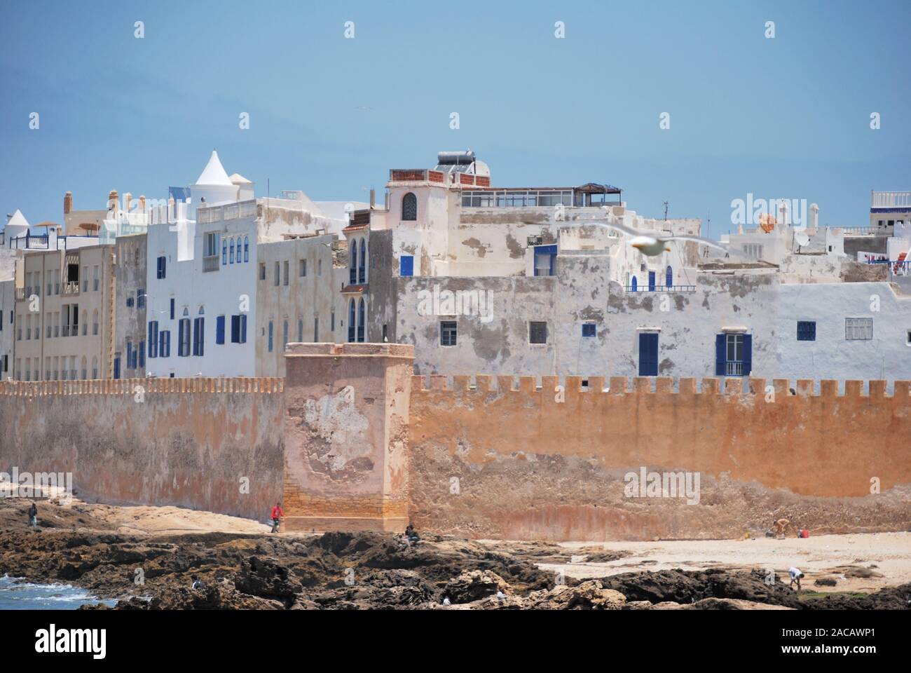 La parete della città di Essaouira con le case bianche della Medina (città vecchia), Marocco, Africa del Nord. Foto Stock