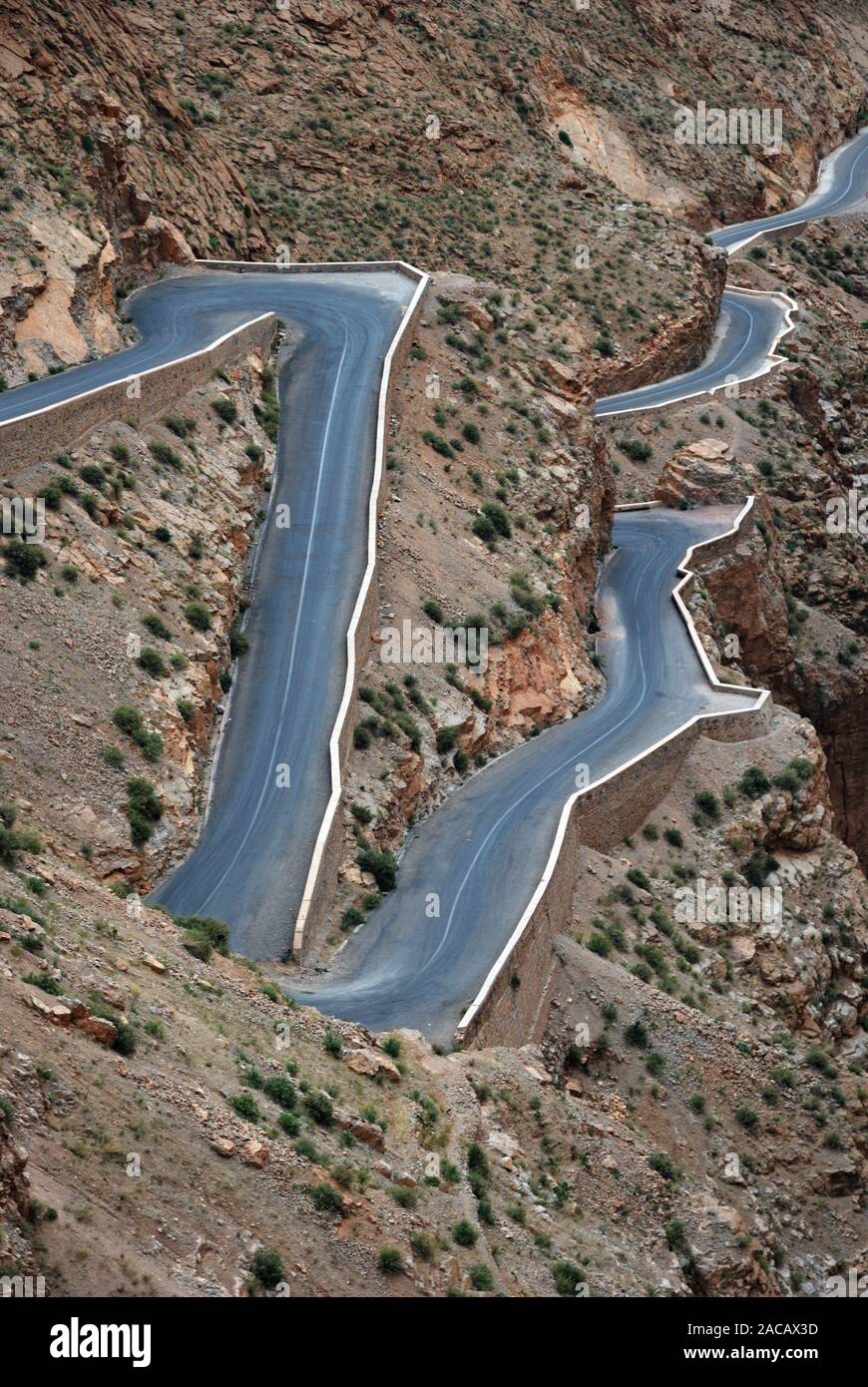 Serpentina ind la Dades Gorge, Marocco, Africa del Nord Foto Stock