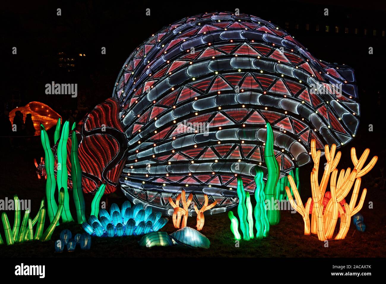 Parigi, Francia. 1 dicembre, 2019. "Oceano sul modo di illuminismo", il festival delle luci del Jardin des Plantes di Parigi, Francia. Foto Stock