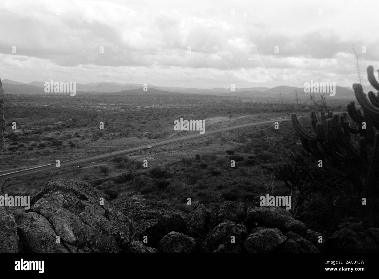 Wüste vor Sierra Madre, 1963. Deserto con la Sierra Madre nel retro, 1963. Foto Stock