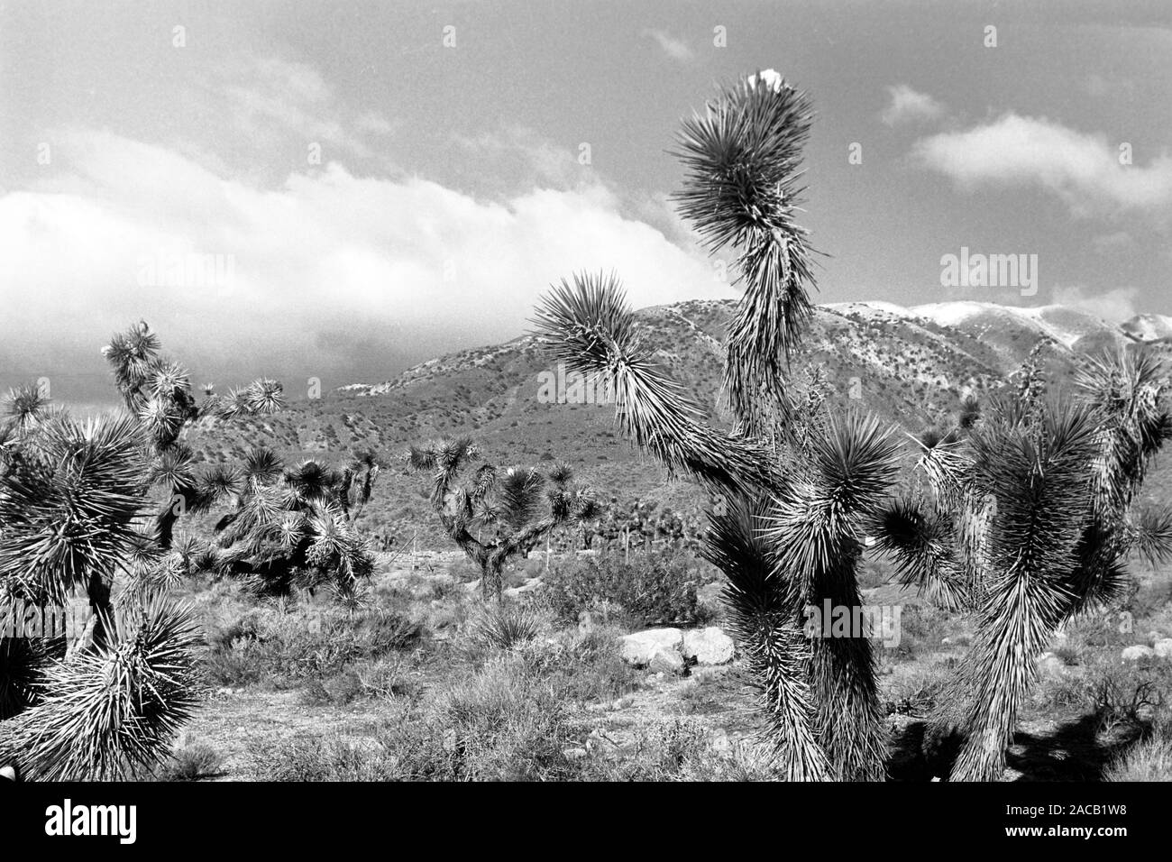 Reise durch Kalifornien, 1962. Viaggiando in California, 1962. Foto Stock