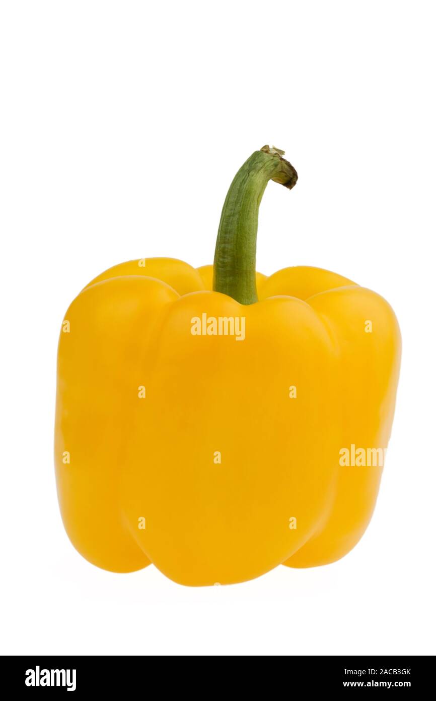 peperone giallo Foto Stock