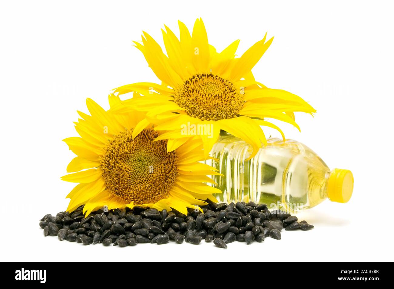 olio di girasole Foto Stock
