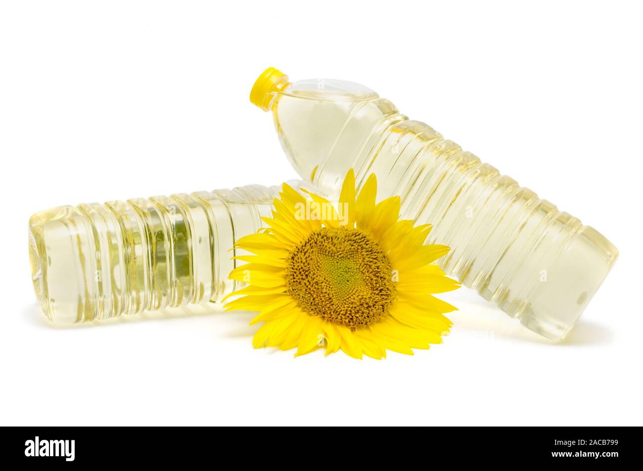 olio di girasole Foto Stock