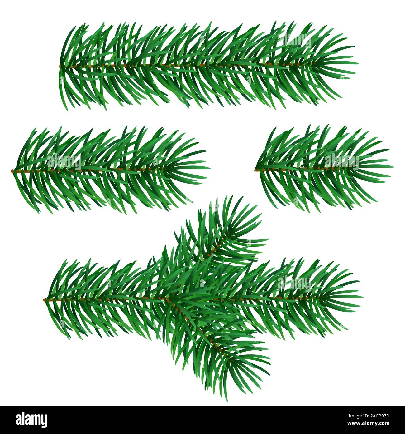 Abete rami di Natale Illustrazione Vettoriale