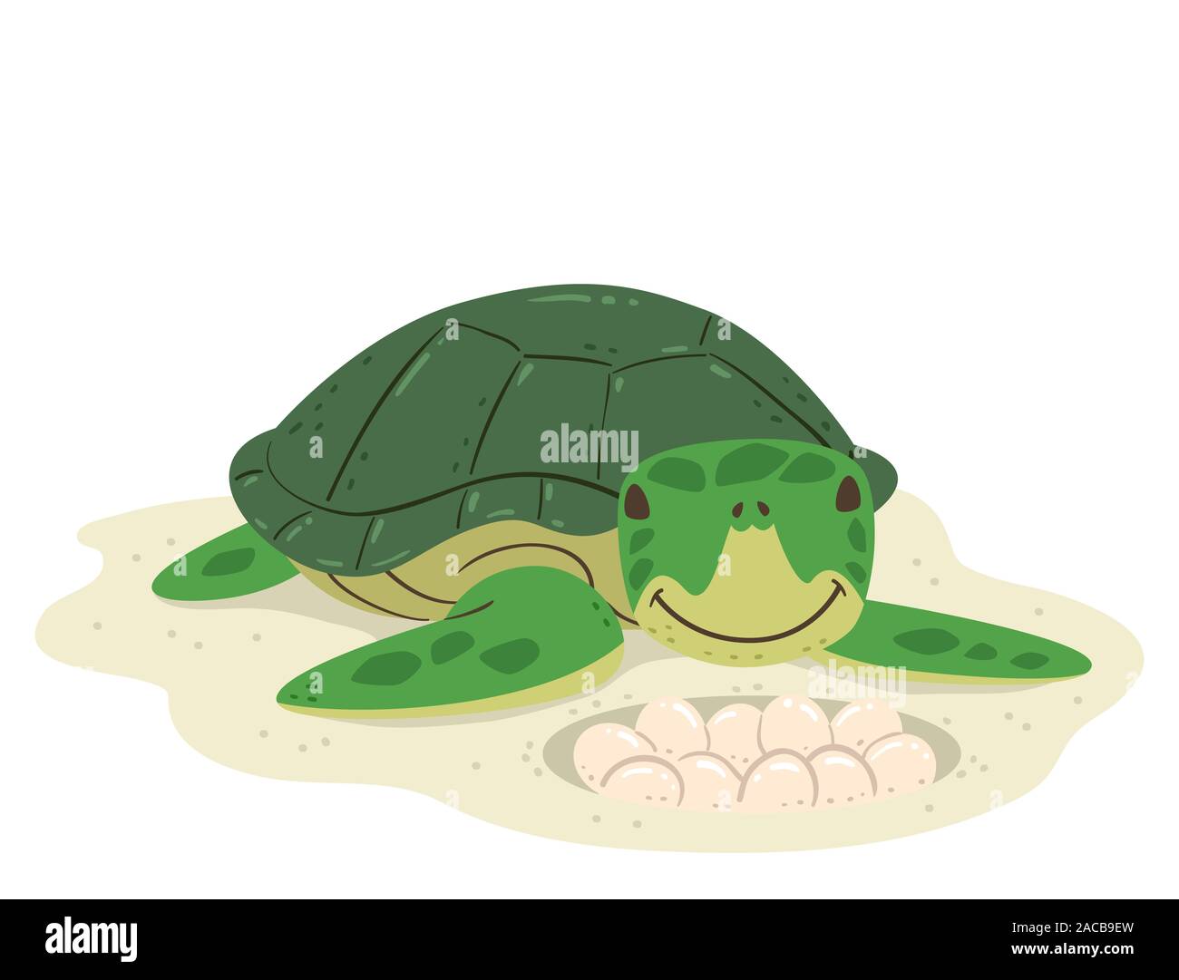 Illustrazione di una tartaruga con le uova sulla sabbia Foto Stock