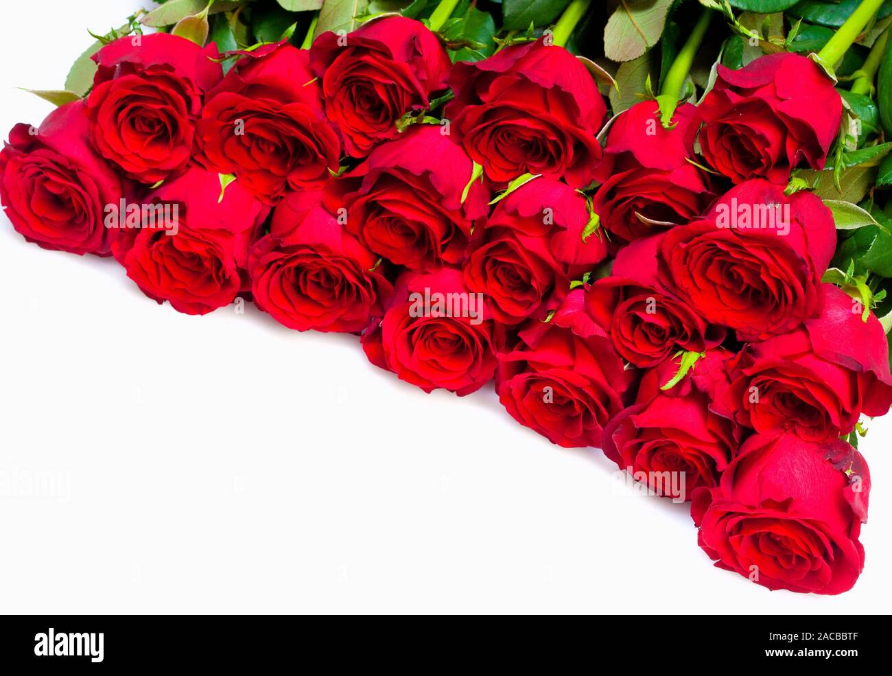 Bouquet di rose rosse - Isolato su bianco Foto Stock