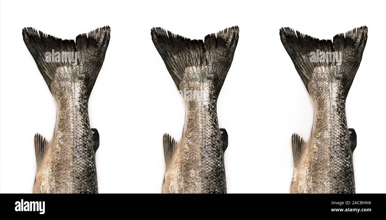 Lo sviluppo sostenibile, olio di pesce, agricoltura, Reef, la gestione della pesca, l'industria della pesca, bilanciato Foto Stock