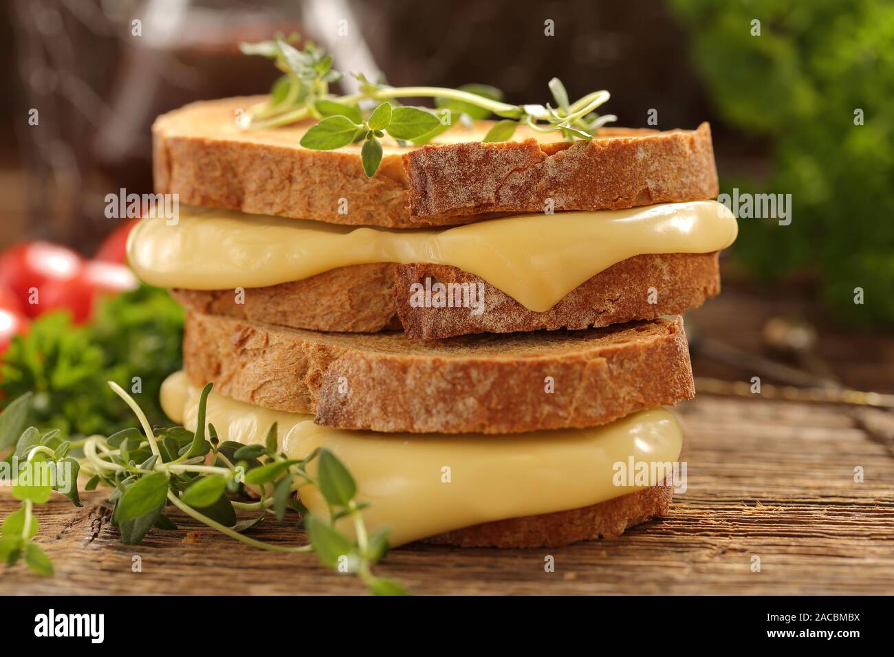 Sandwich freschi con formaggio ed erbe aromatiche con spazio vuoto per il testo Foto Stock