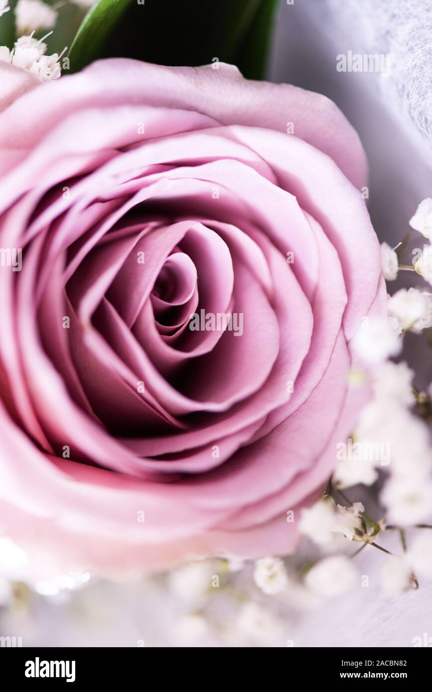 Bellissimi fiori matrimonio progettato e messo insieme da un fiorista locale pronto per la sposa e lo sposo per celebrare il loro giorno speciale insieme Foto Stock