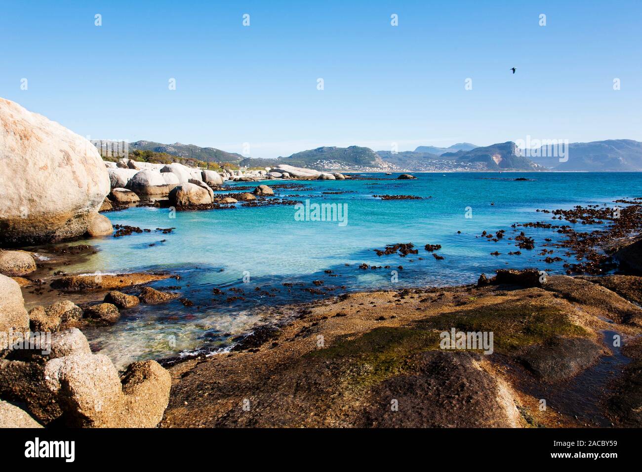 Cape Town - belle baie di Spiaggia Boulders Riserva Naturale. Questa spiaggia è famosa per la sua colonia protetta dei pinguini africani. Sud Africa. Foto Stock