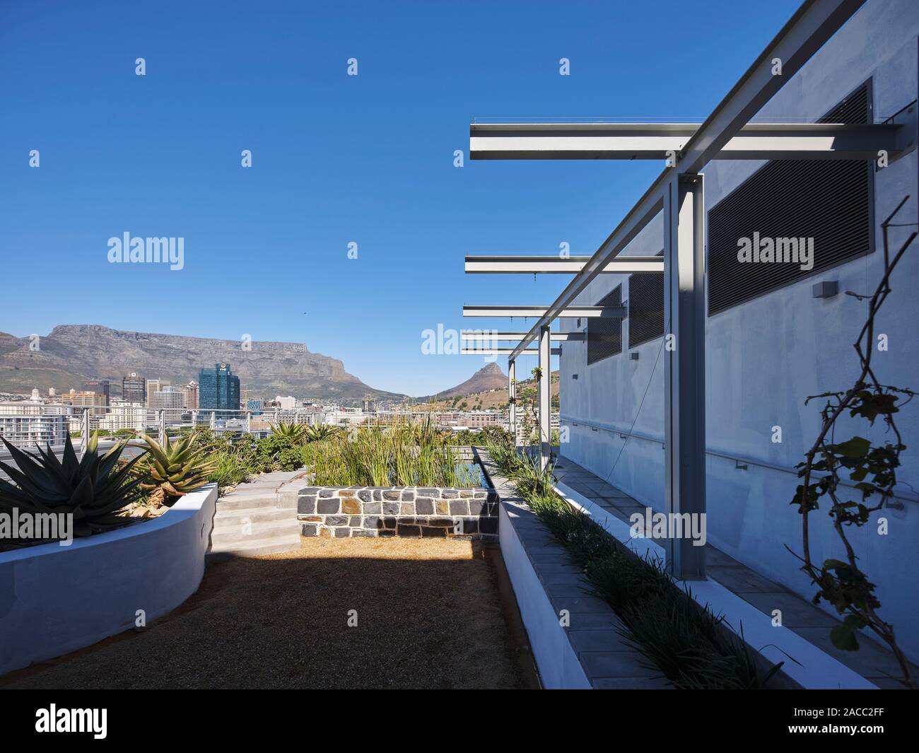 Communal terrazza sul tetto con vista verso la Montagna della Tavola. Silo Distretto Cape Town Cape Town, Sud Africa. Architetto: VDMMA, 2019. Foto Stock