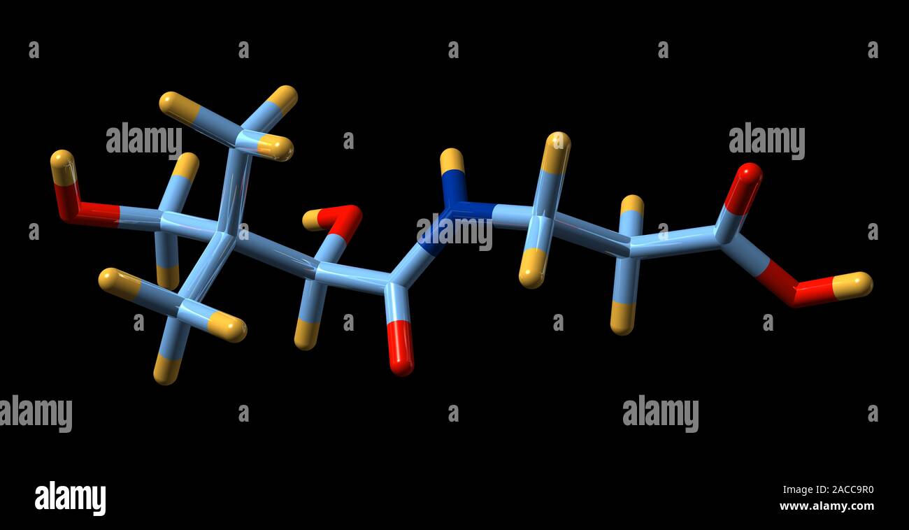 La vitamina B5, modello molecolare. La formula chimica per la vitamina B5, denominato anche acido pantotenico, è C9.H17.N.O5. Gli atomi sono rappresentati come aste e sono Foto Stock