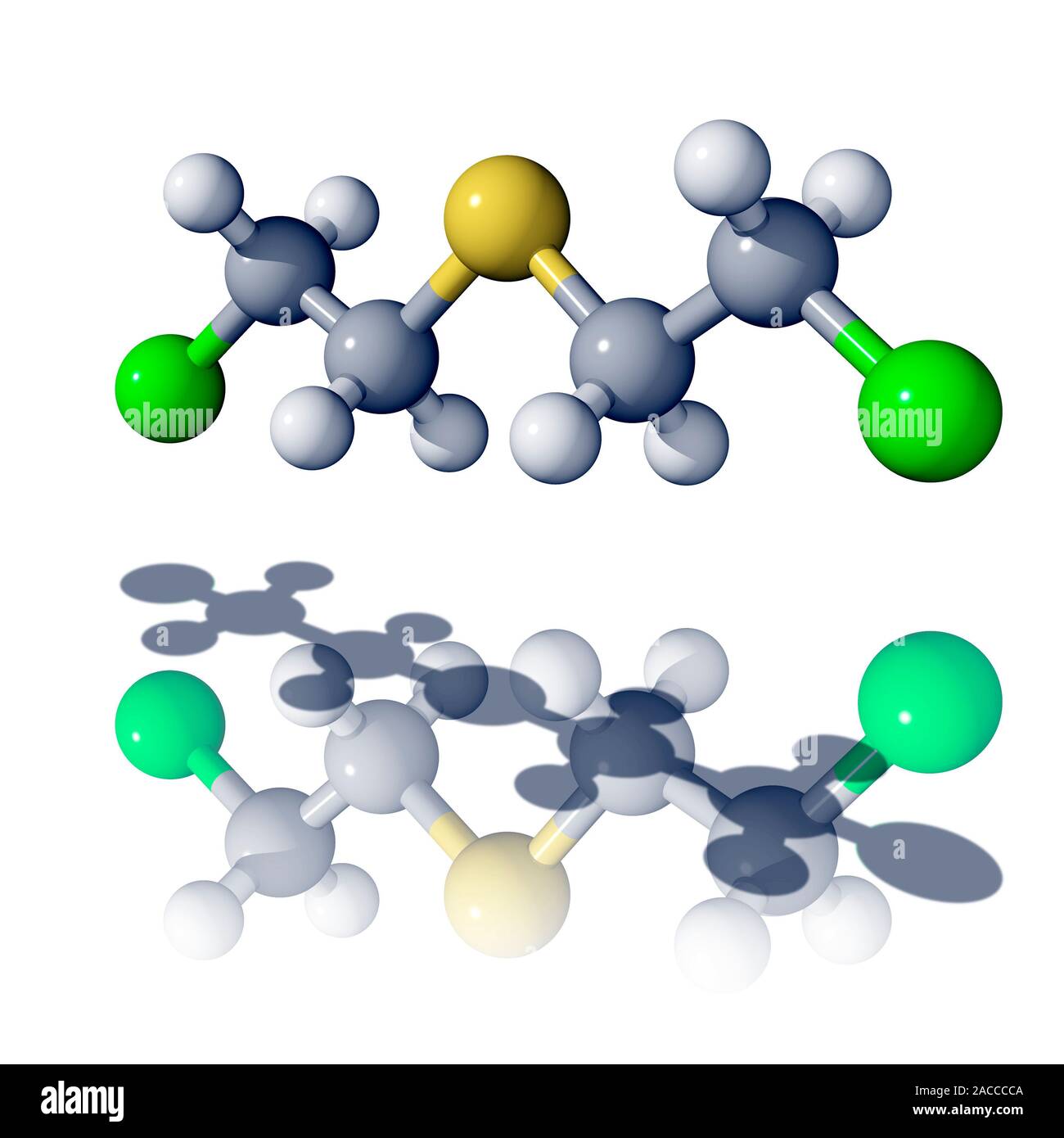 Gas mostarda. Molecola molecolare del gas mostarda, che non è un gas in realtà ma un liquido viscoso. Gas mostarda (C4.H8.Cl2.S) ha il nome chimico Foto Stock