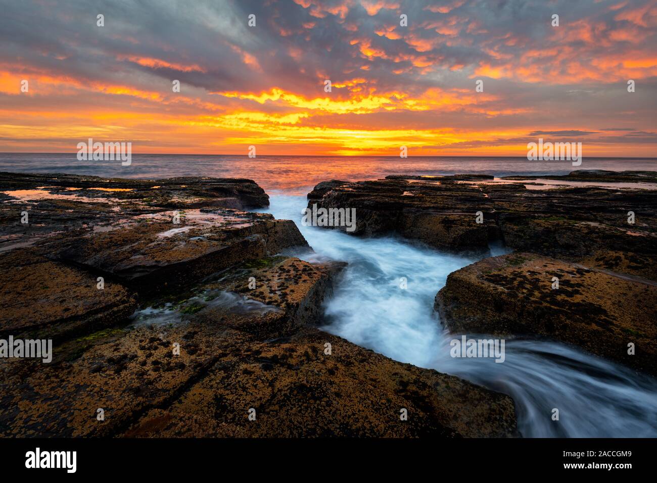 Sunrise a Narrabeen scogli su Sydney spiagge del nord. Foto Stock