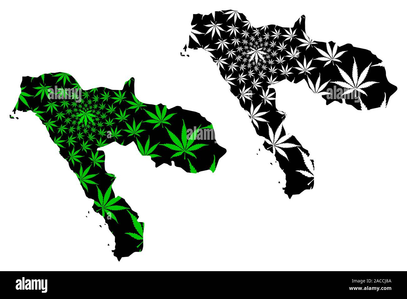 Tabuk regione (regioni di Arabia Saudita, Regno di Arabia Saudita, KSA) mappa è progettato Cannabis leaf verde e nero, Tabuk mappa fatta di marijuana (marih Illustrazione Vettoriale