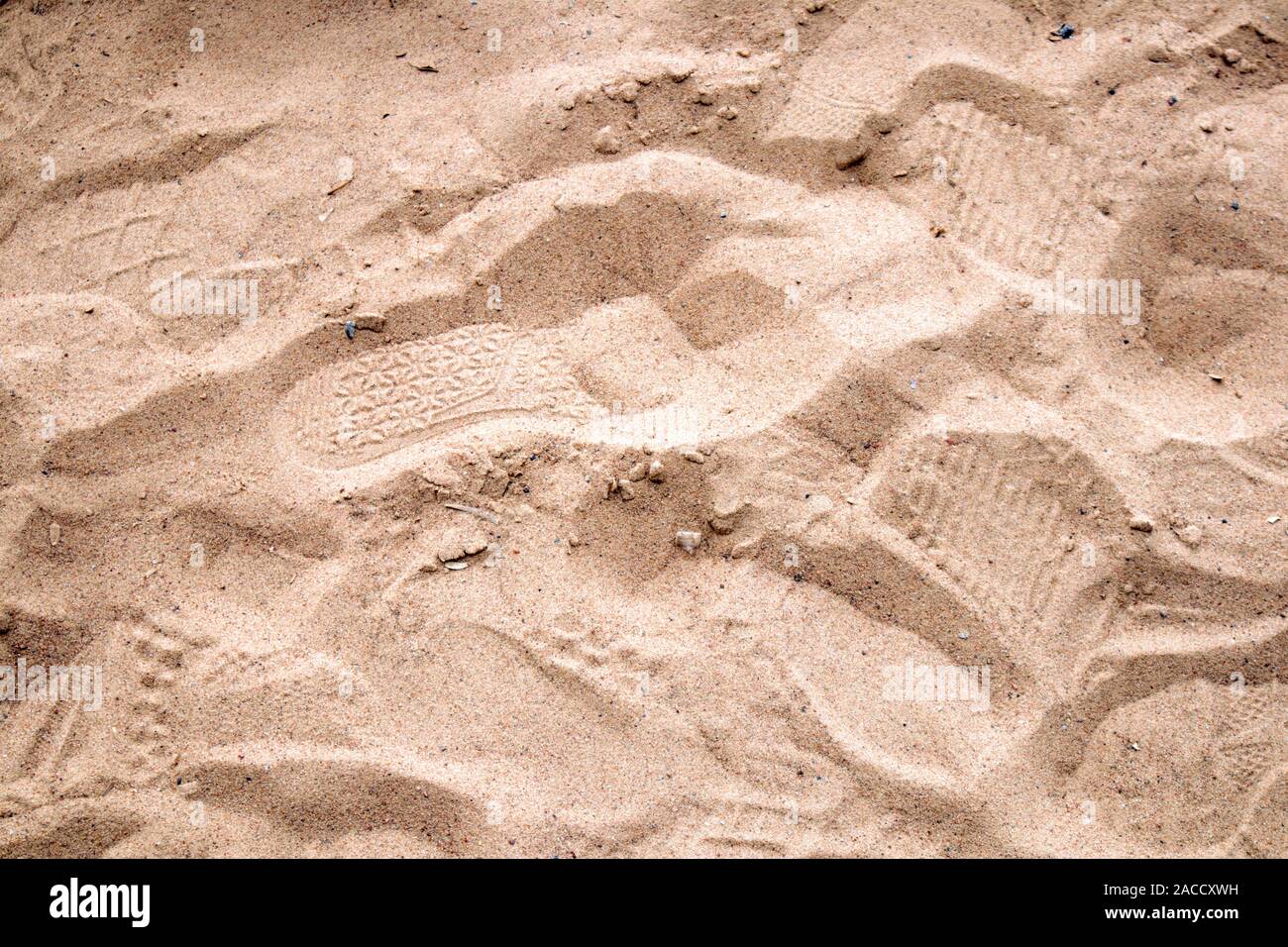Sole mare di sabbia a riva calpestato dalle impronte umane, può essere utilizzato come sfondo o texture Foto Stock