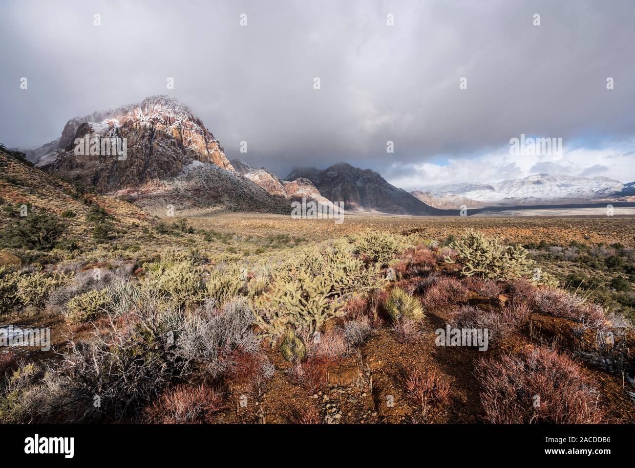 Deserto tempesta invernale al Red Rock Canyon National Conservation Area vicino a Las Vegas, Nevada. Foto Stock