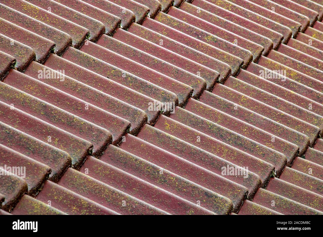 Un tetto umido fatto di piastrelle di calcestruzzo.vista diagonale del tetto con tegole rosse. Foto Stock