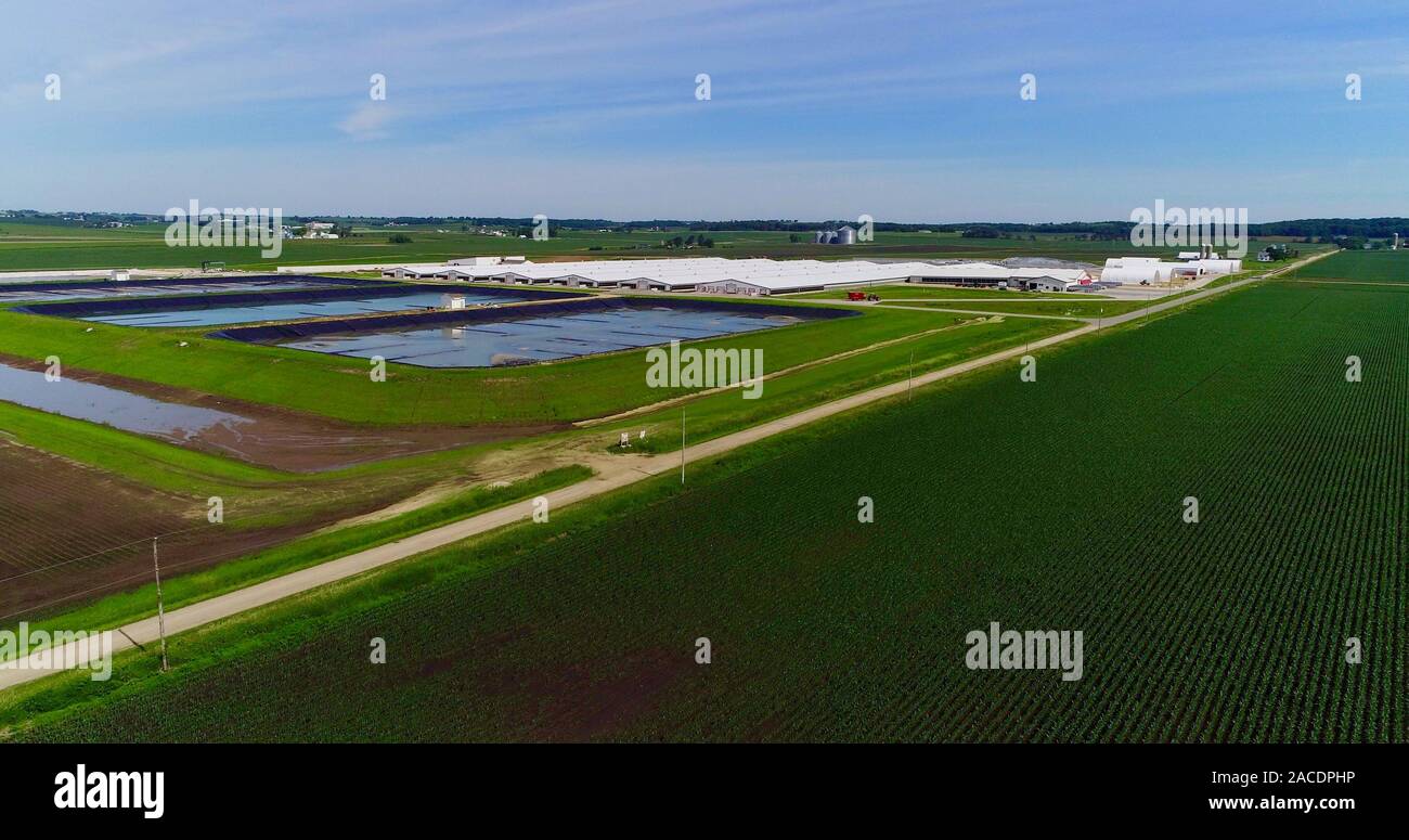 Vista aerea del confinato o concentrati di alimentazione degli animali il funzionamento (CAFO) con enormi buche di concime di raccolta dei rifiuti da 5.500 vacche da latte, Wisconsin, STATI UNITI D'AMERICA Foto Stock