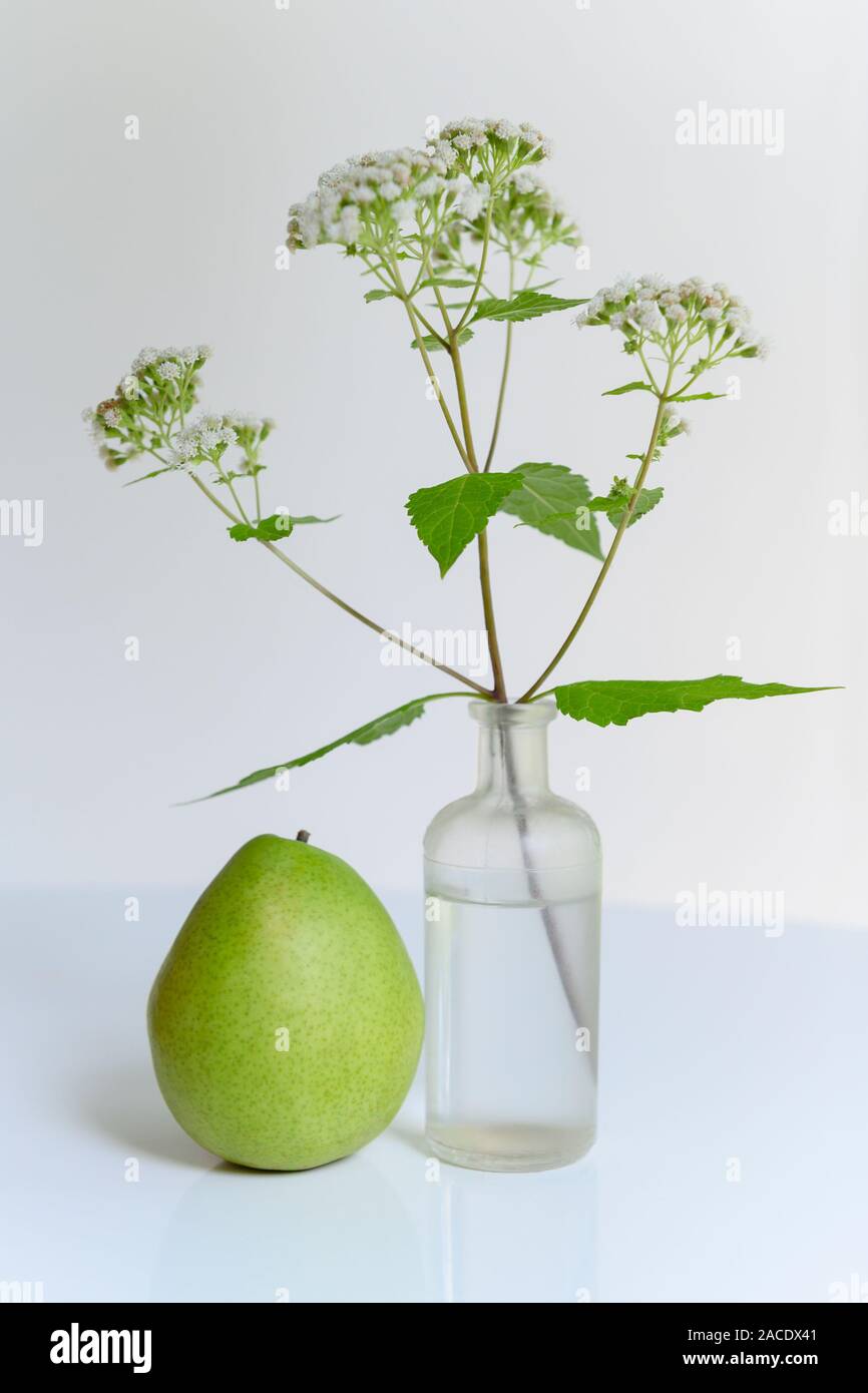 Pera accanto ai fiori selvatici in vaso Foto Stock