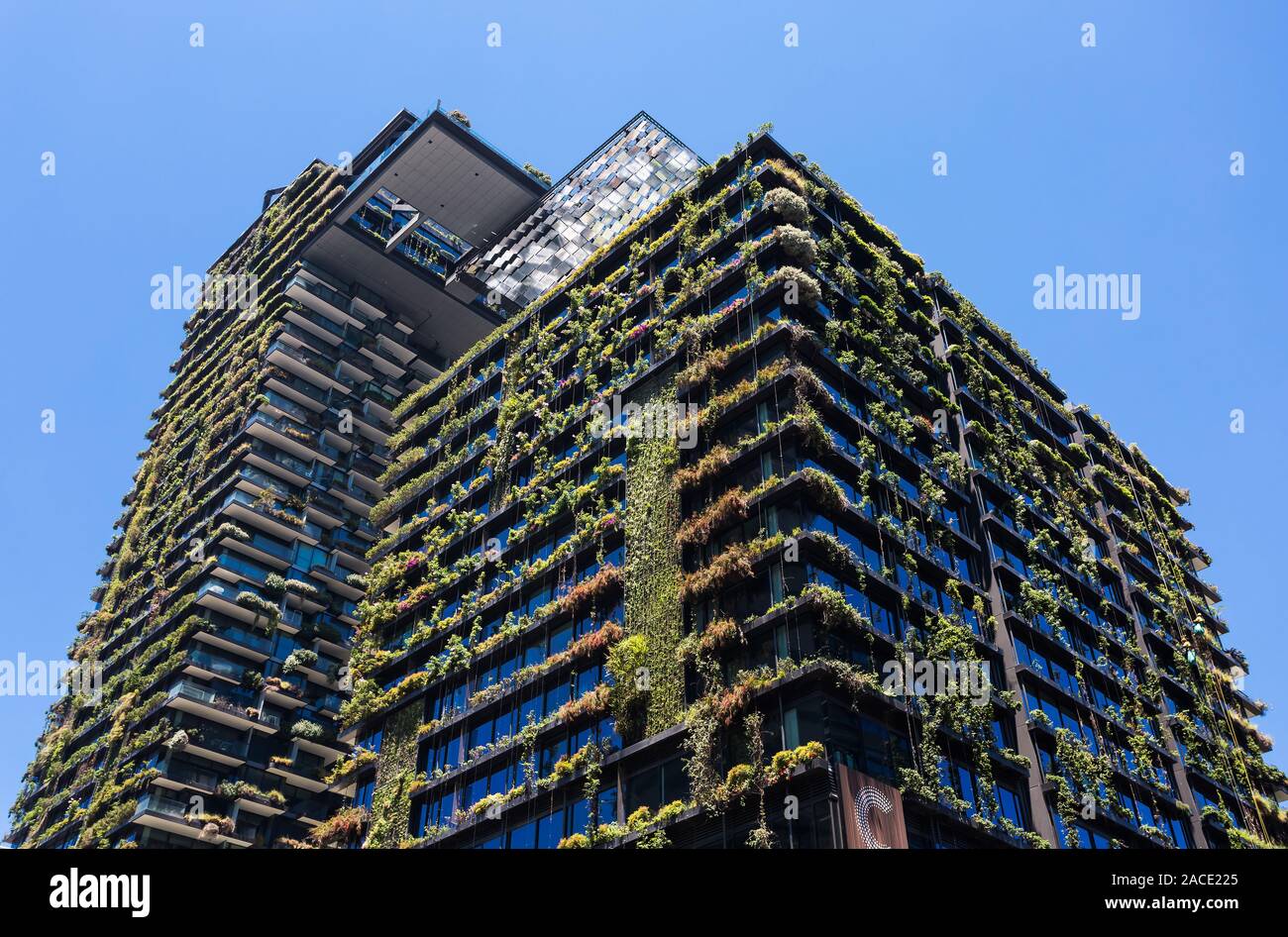 Viste generali che mostra un Central Park che è costruito intorno a Chippendale verde, Sydney. Lo stesso edificio è stato progettato dal premiato arco parigino Foto Stock