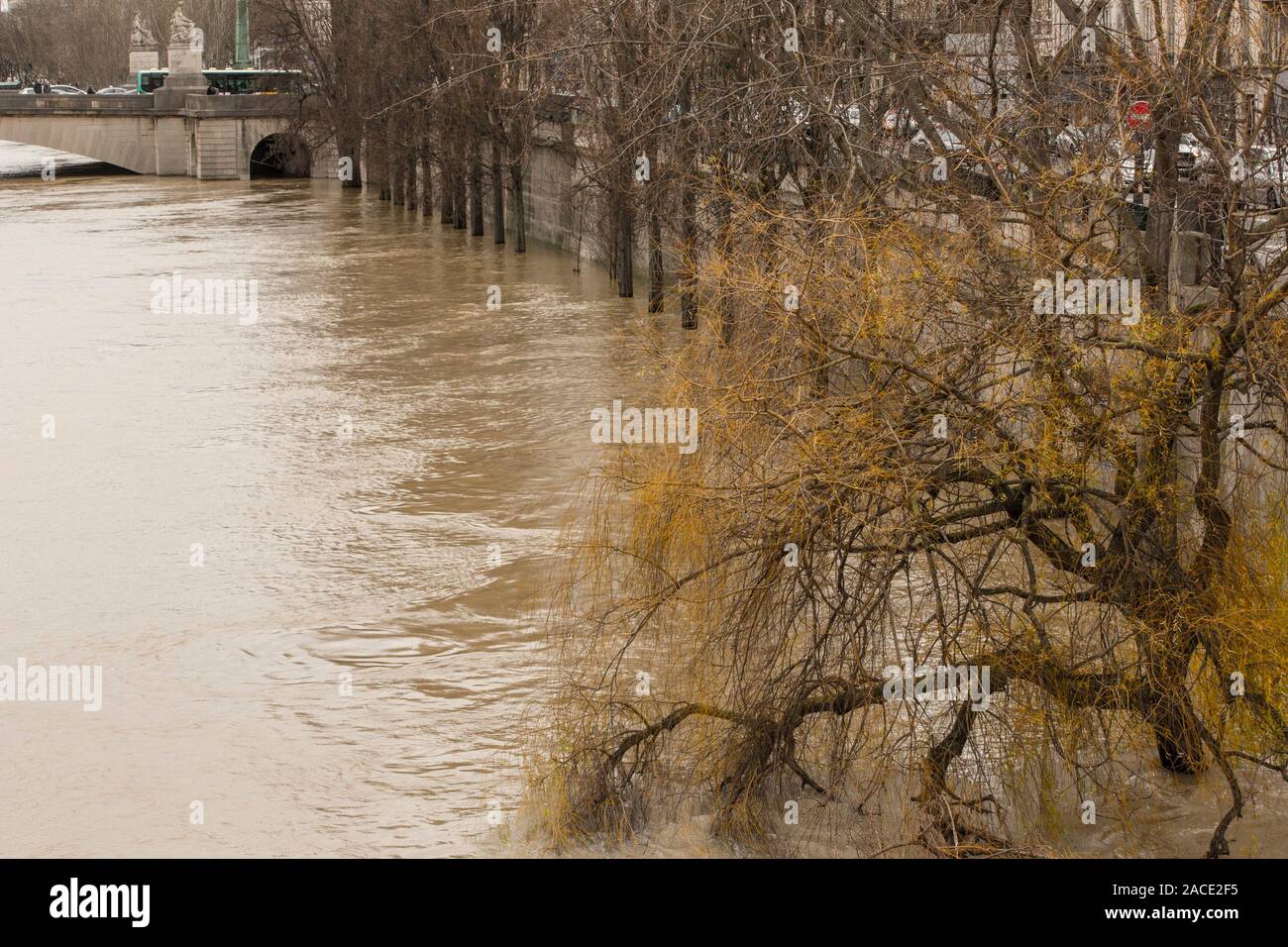 Inondazioni in parigi Foto Stock