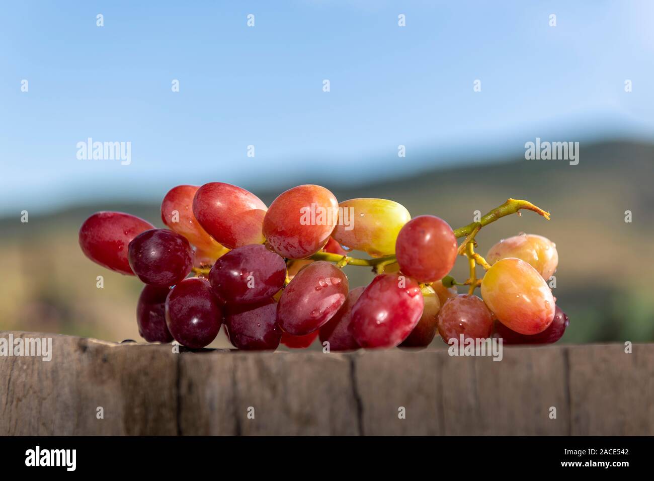 Grappolo di uva rossa su base di legno con la montagna e sullo sfondo del cielo Foto Stock