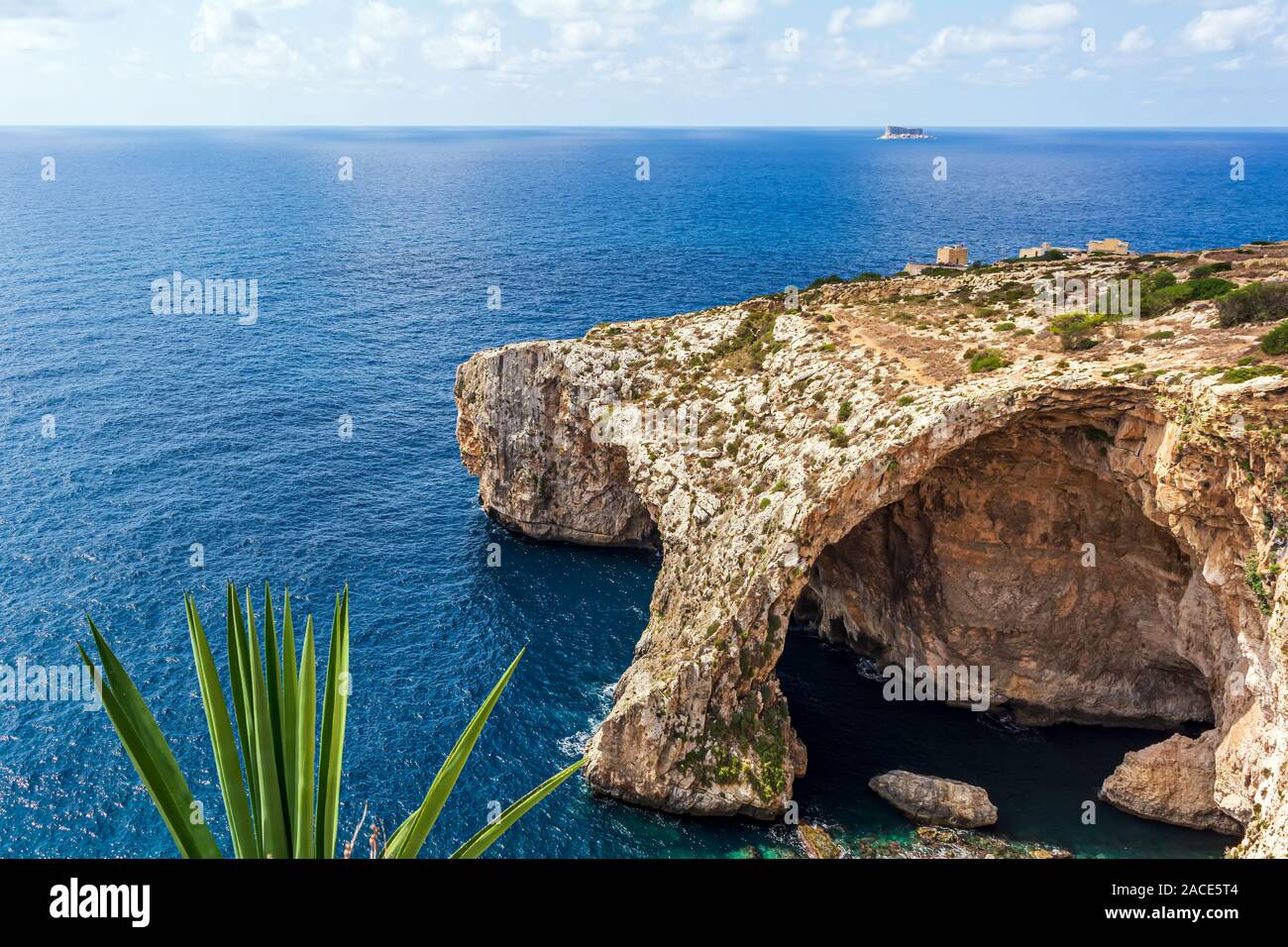 La Grotta blu e grotte marine in Malta, con impianto in primo piano e Hamrija torre di avvistamento in background Foto Stock