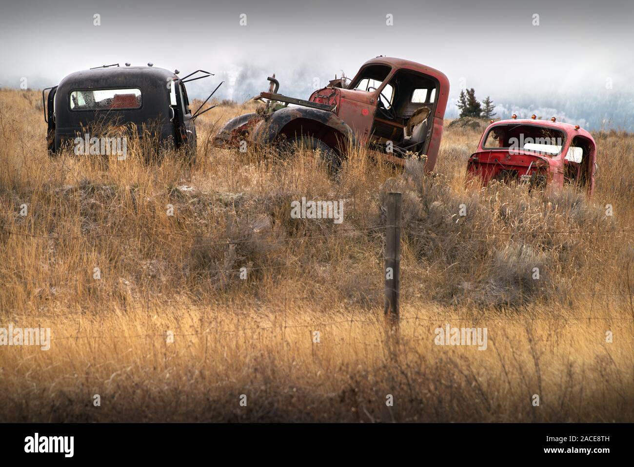 Automobili abbandonate campo di fattoria. Vecchi carrelli abbandonati nel nord-ovest del Pacifico. Foto Stock