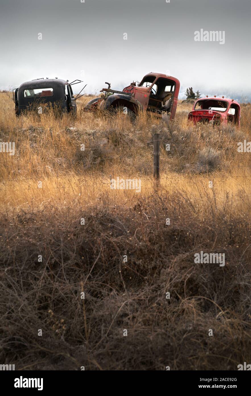Automobili abbandonate Farmland. Vecchi carrelli abbandonati nel nord-ovest del Pacifico. Foto Stock