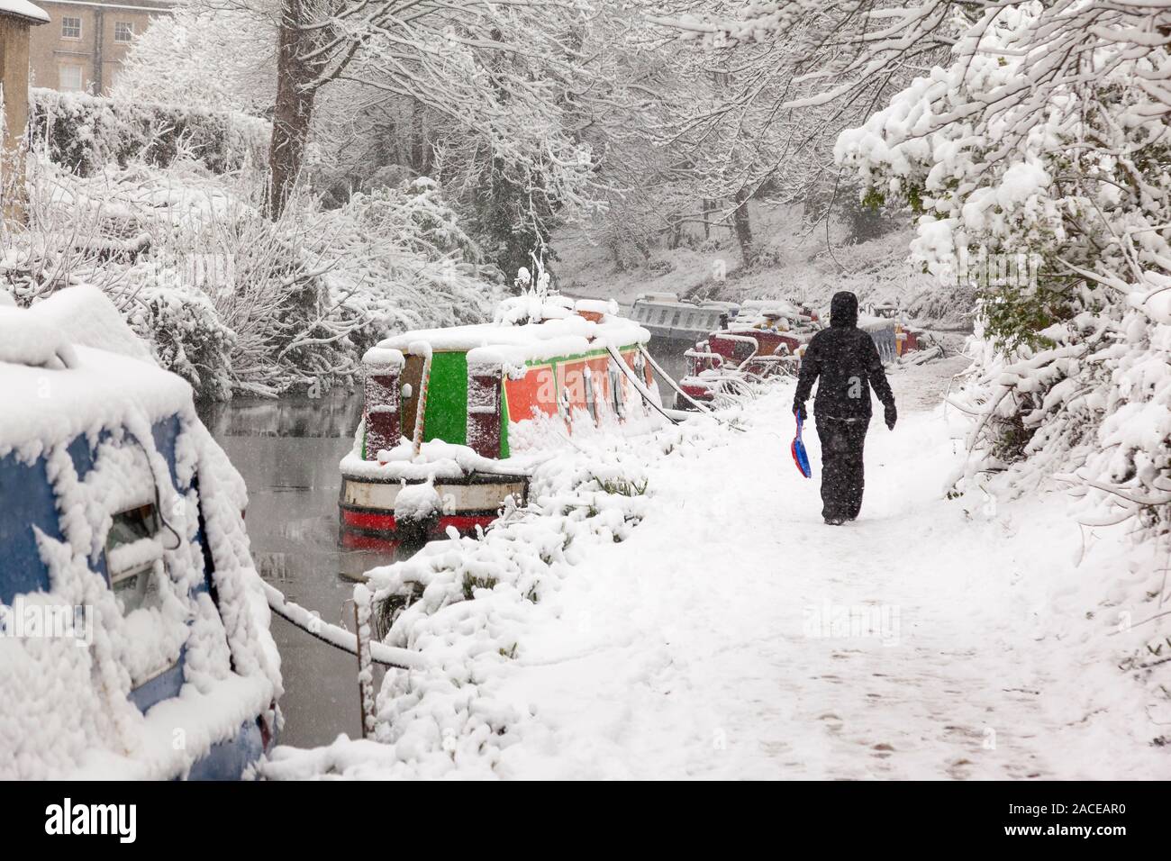 La donna a piedi cura una plastica slitta nella neve pesante sul Kennet e Avon alzaia a Bath, Inghilterra, Regno Unito. Foto Stock