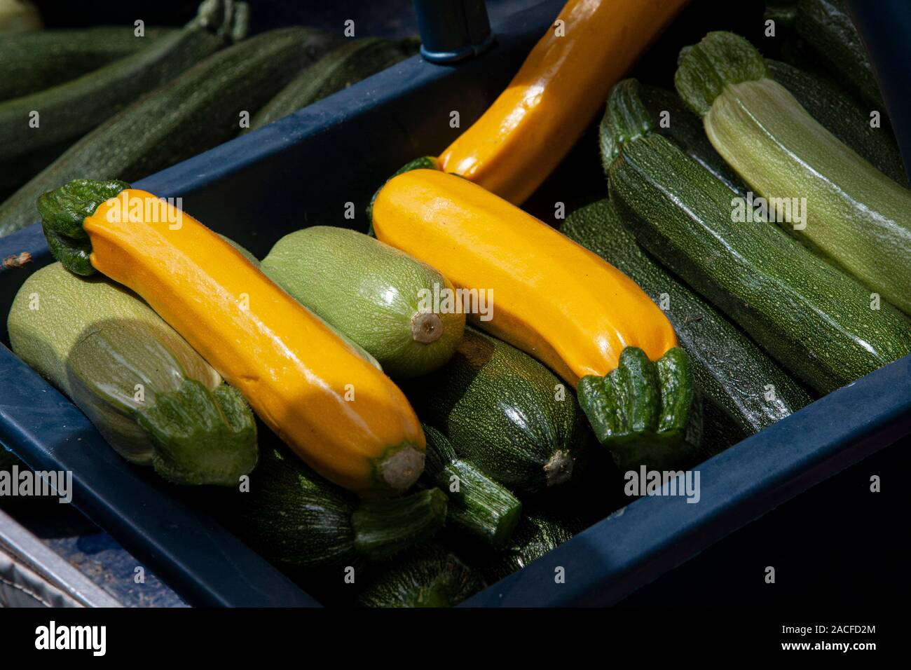 Francia, regione della Loira, Forez, venelles, Street Market, città mercato, produrre, mercanti, mercatini, cabine di mercato, zucchine, giallo, verde Foto Stock