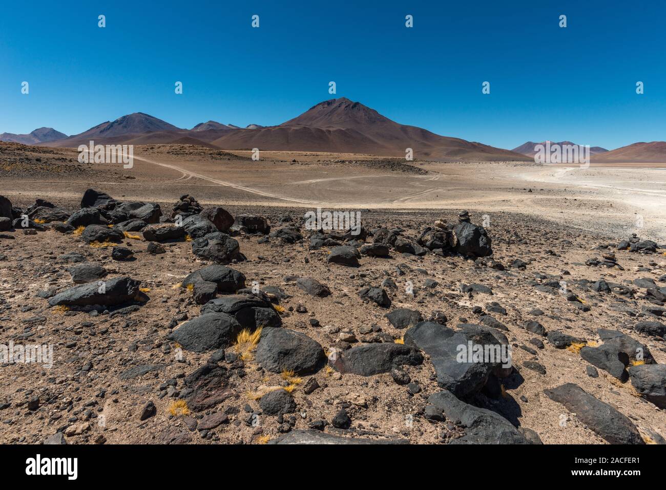 Rive della Laguna Blanca, Parco Nazionale o Reserva National de fauna Andina Eduardo Avaroa, Dipartimento Potosi, Southwest Bolivia, America Latina Foto Stock