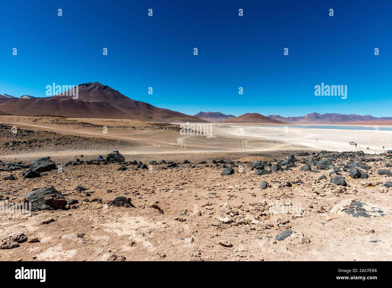 Laguna Blanca, Reserva Nacional de fauna Andina Eduardo Avaroa, Altiplano meridionale, Dipartimento Potosi, Southwest Bolivia, America Latina Foto Stock