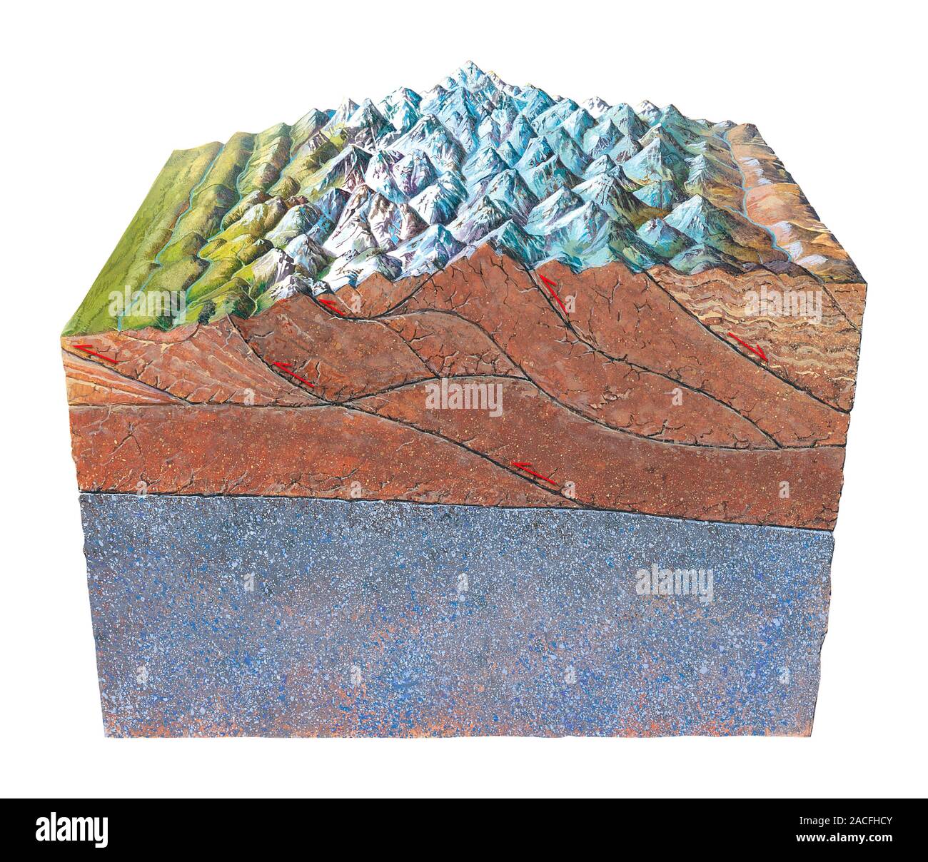 Formazione dell'Himalaya. Computer grafica che mostra la struttura geologica sotto l'Himalaya mountain range. Le cime delle montagne sono mostrati Foto Stock