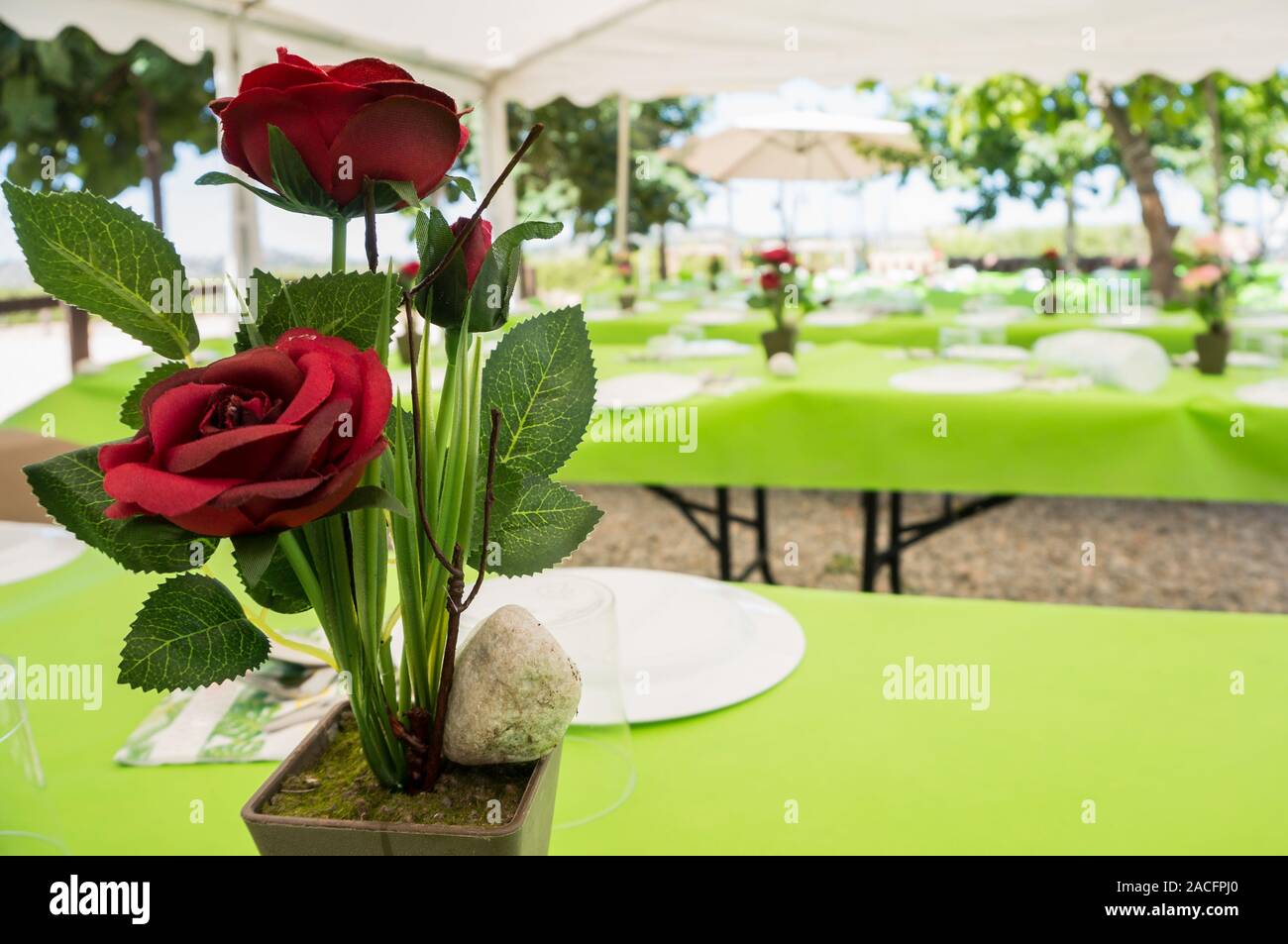 Tavolo preparato per la celebrazione del matrimonio nel giardino con fiore in primo piano Foto Stock