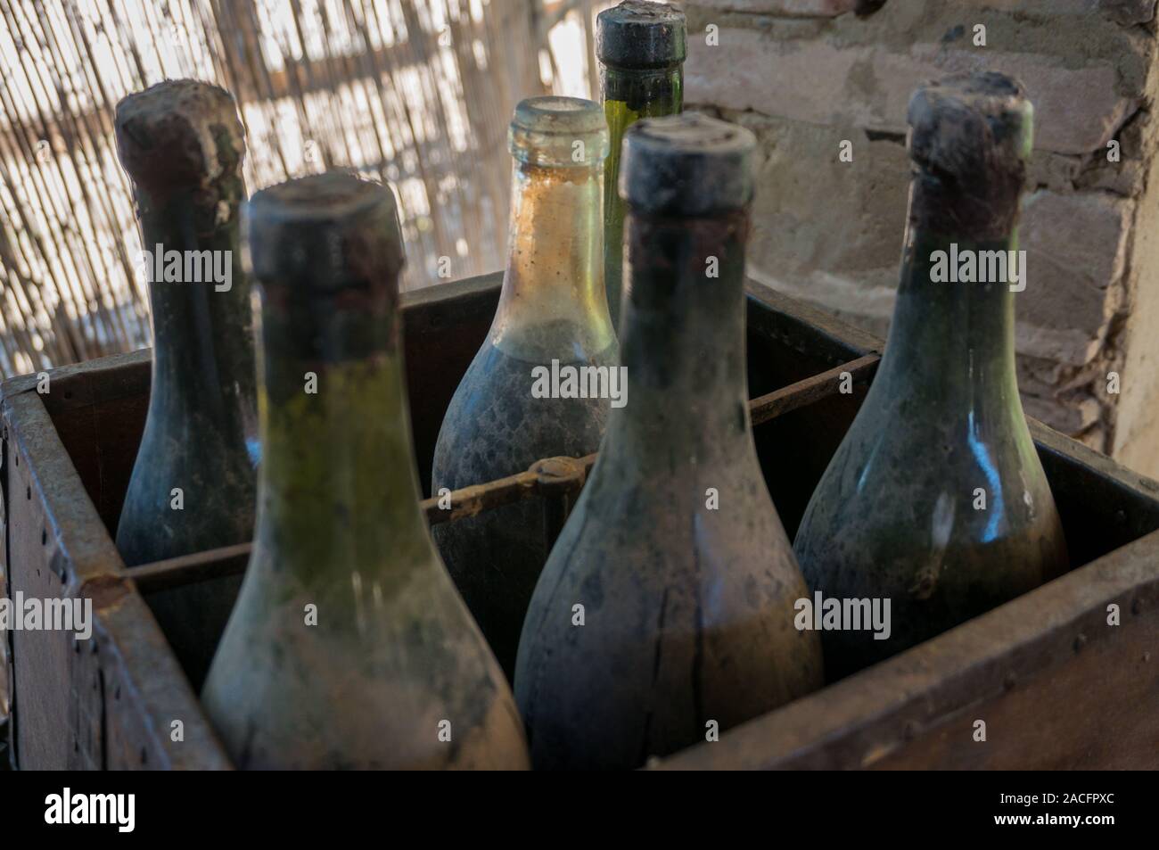 Scatola con vecchie e polverose bottiglie di vino Foto Stock