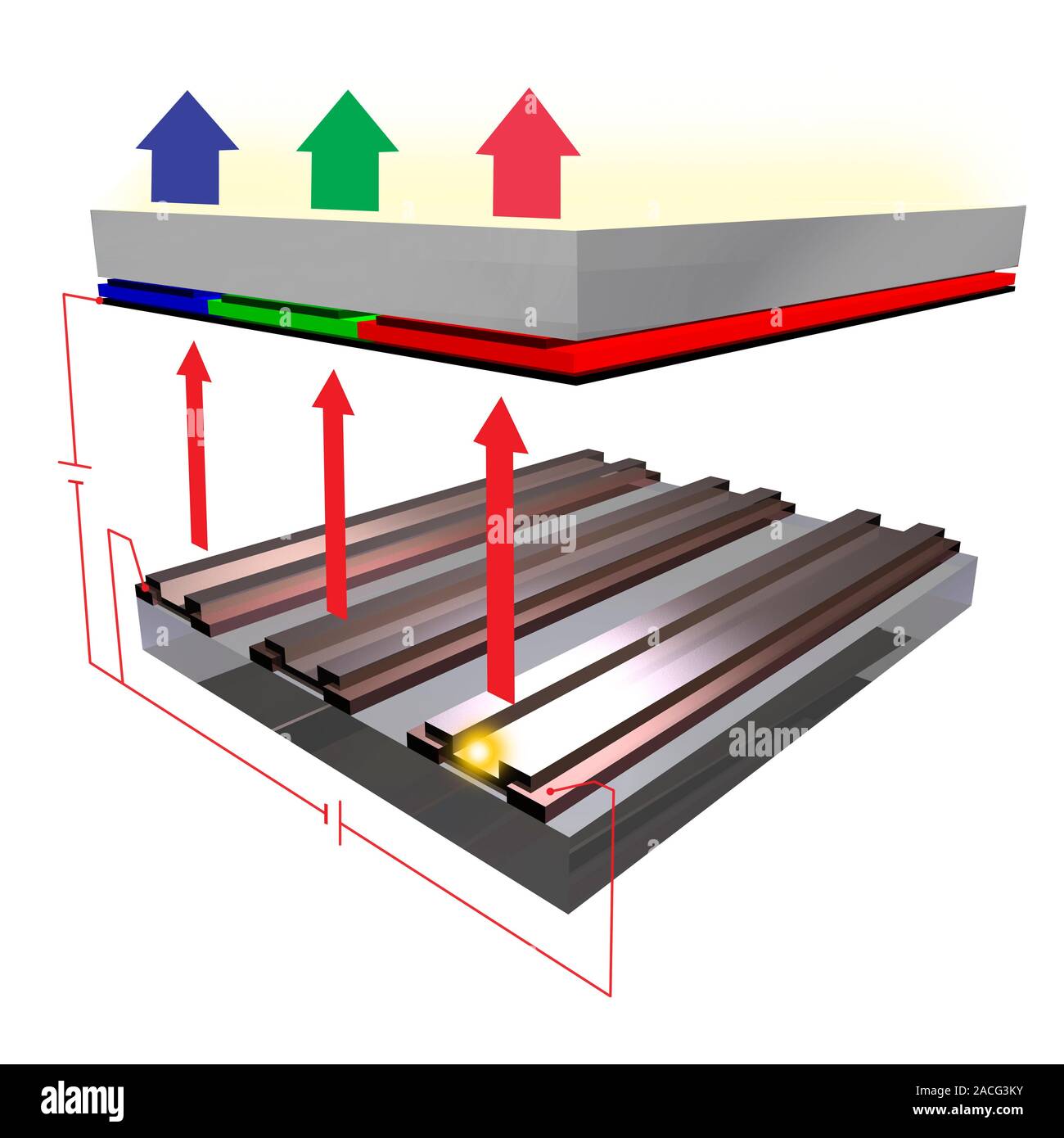 SED schermo televisivo, spaccato computer grafica. Una SED (superficie di conduzione di elettroni del display di emettitore) la televisione è costituita da una matrice di minuscoli catodo r Foto Stock