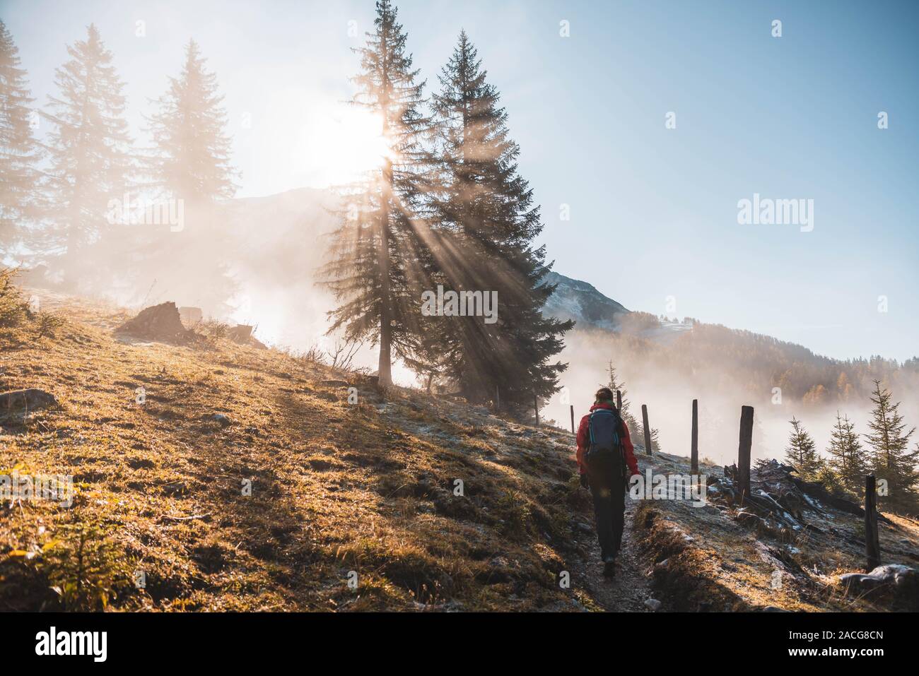 Donna escursionismo nelle Alpi austriache vicino a Filzmoos in autunno, Salisburgo, Austria Foto Stock