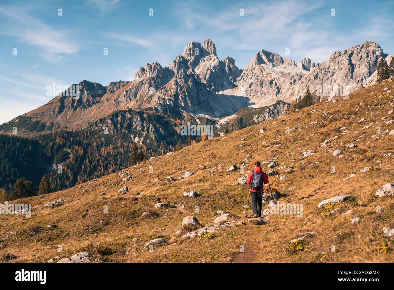 Donna escursionismo nelle Alpi austriache vicino a Filzmoos in autunno, Salisburgo, Austria Foto Stock