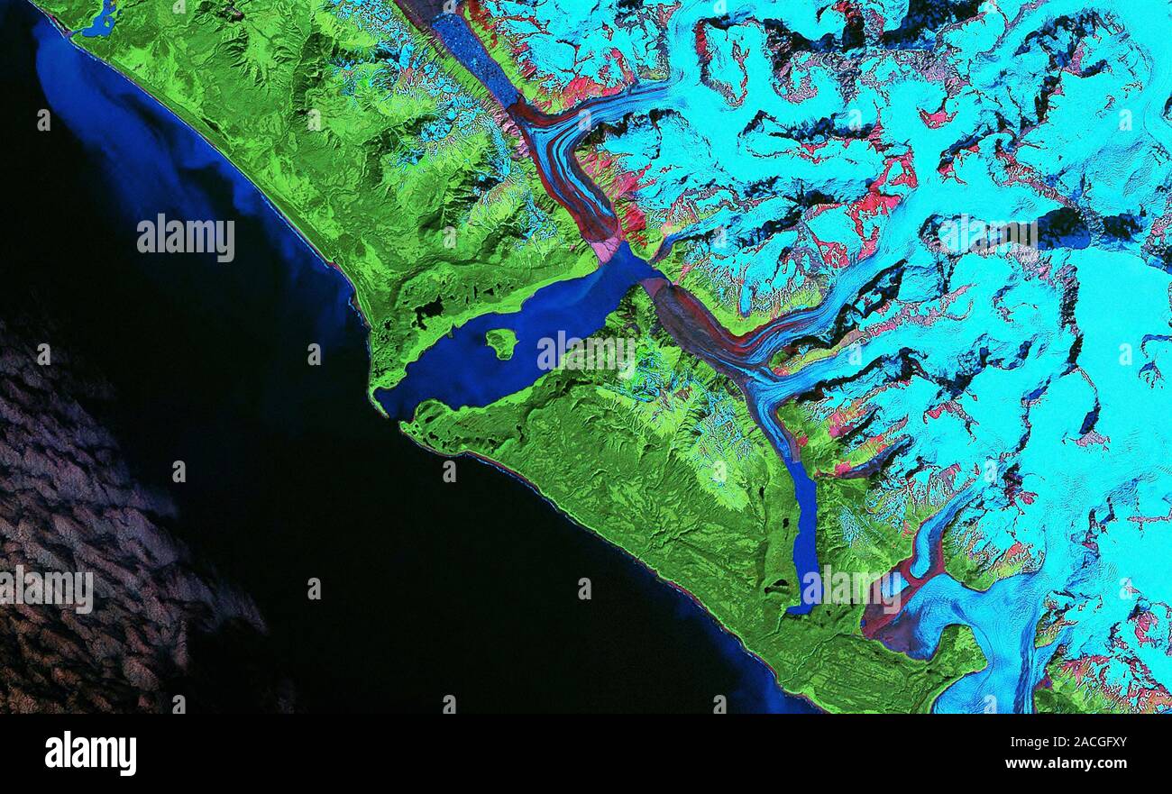 Lituya Bay danni dello tsunami, immagine Landsat. Questa immagine è stata ottenuta circa quaranta anni dopo il 1958 tsunami che è stato causato da un imponente frana in Foto Stock