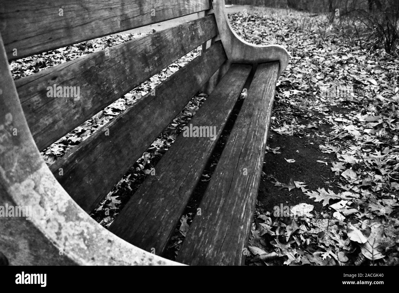 Un isolato una panchina nel parco circondato da foglie Foto Stock
