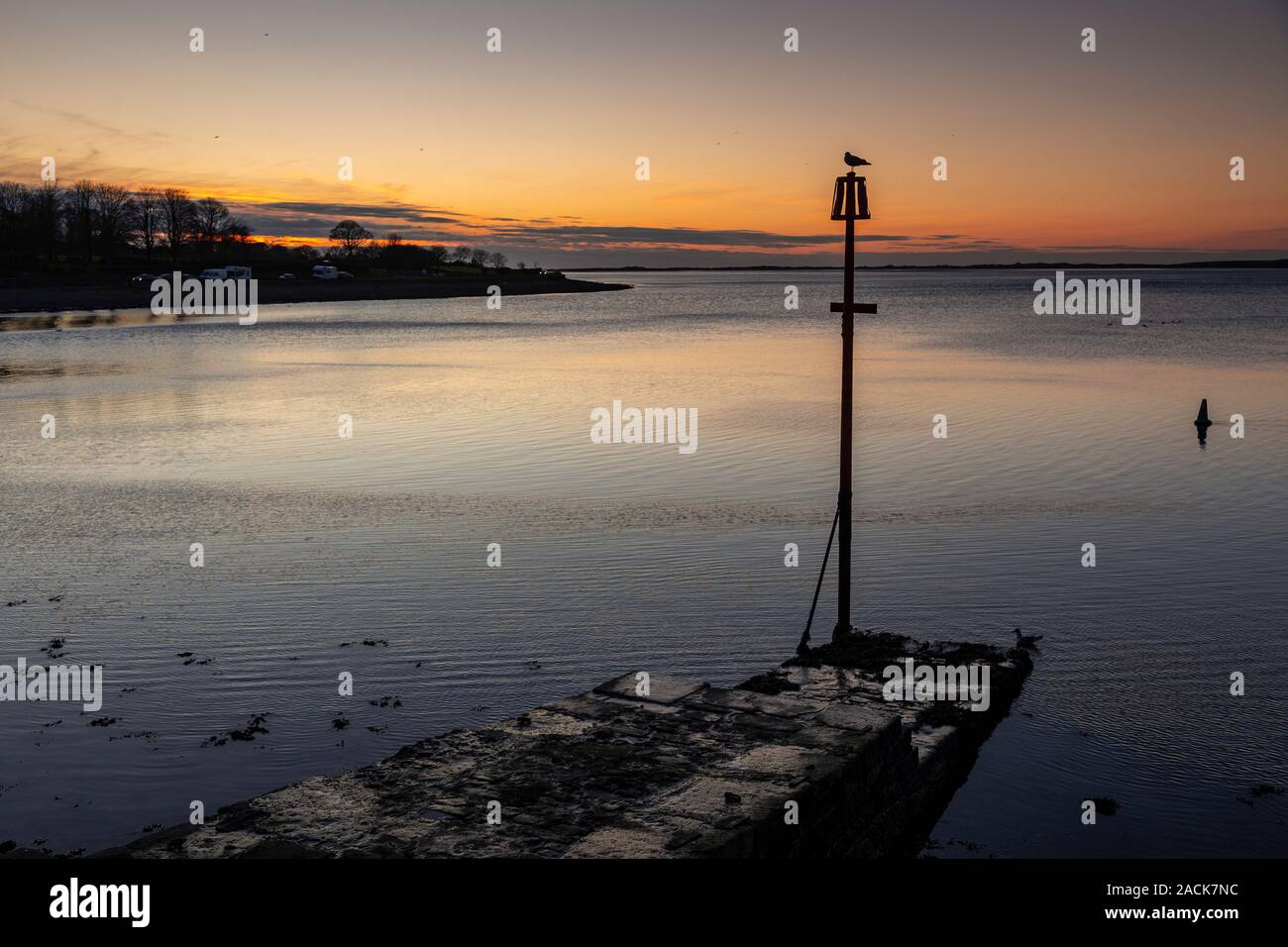 Seagull su un post al tramonto a Caernarfon, costa del Galles Settentrionale Foto Stock