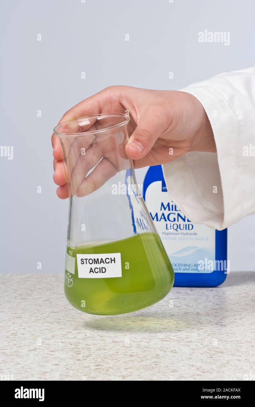 Reflusso acido esperimento. Reflusso acido dallo stomaco può essere  neutralizzato da un antiacido. Qui, il latte di magnesia (idrossido di  magnesio), un alcali, ha Foto stock - Alamy