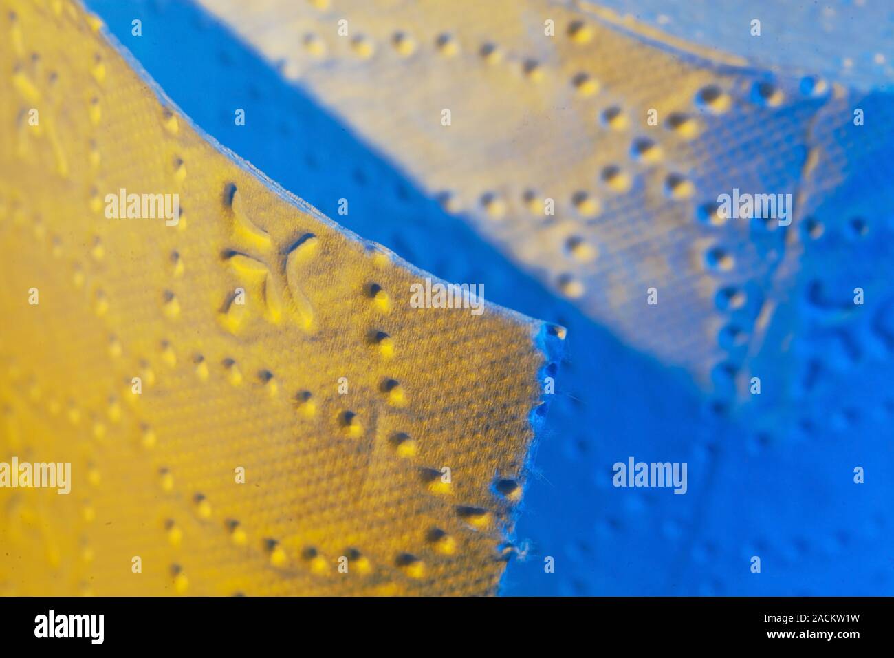 Rotolo di carta igienica carta Foto Stock